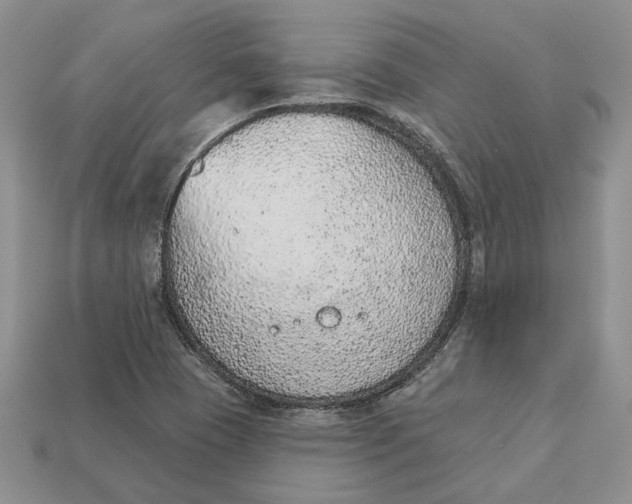 X0000112781409200909101602