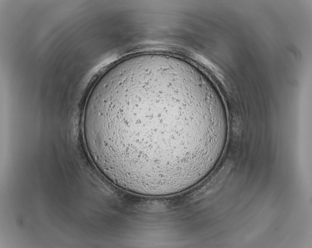 X0000112781411200909101602