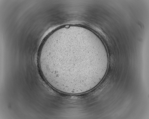 X0000112781412200909101602