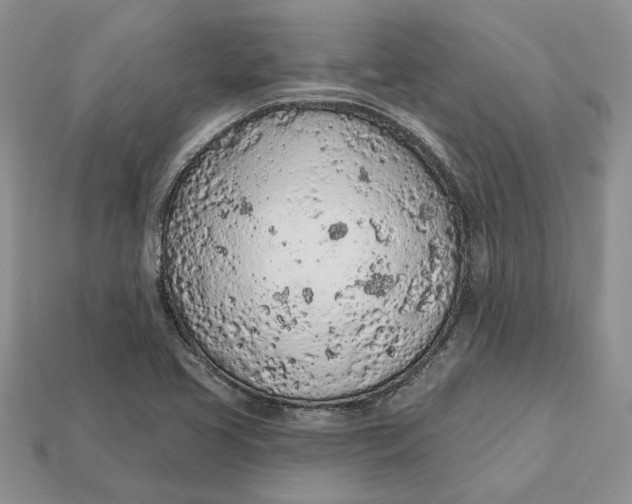 X0000112781413200909101602