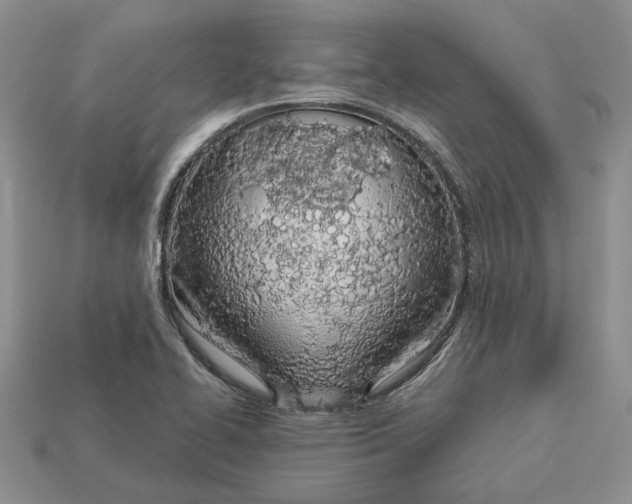 X0000112781414200909101602