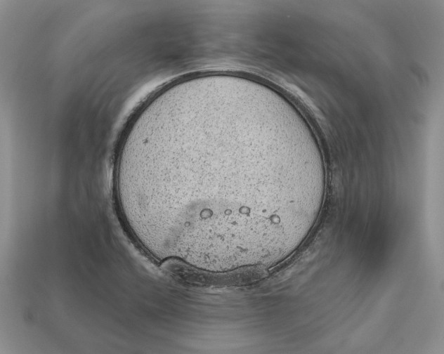 X0000112781416200909101603