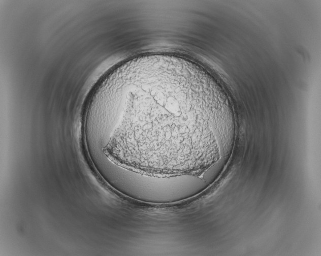 X0000112781418200909101603