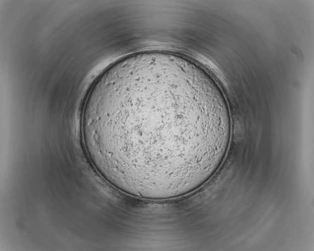 X0000112781419200909101603