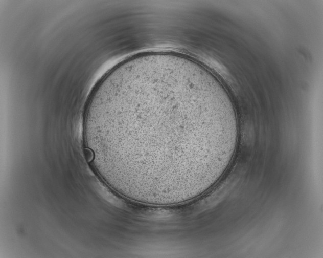 X0000112781420200909101603