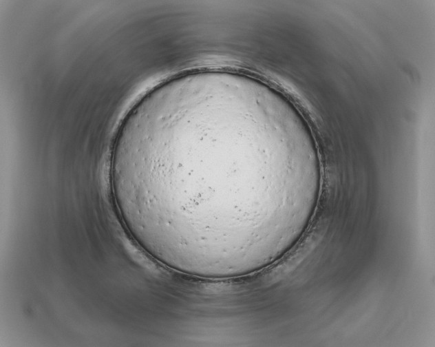 X0000112781421200909101603