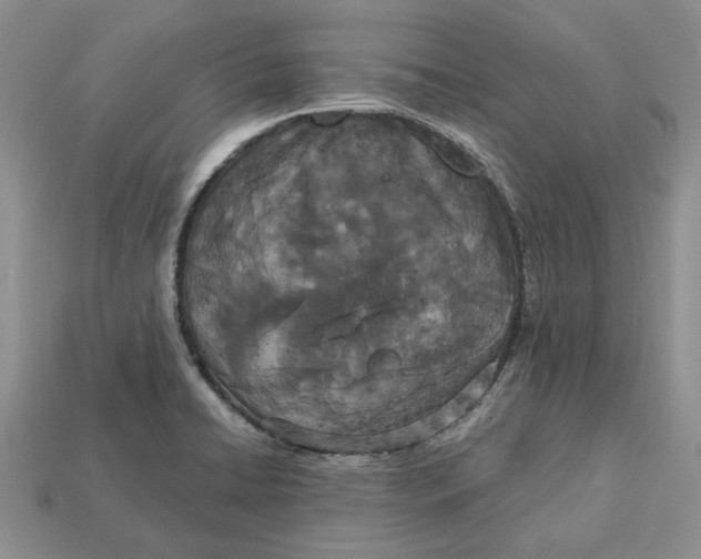 X0000112781422200909101603