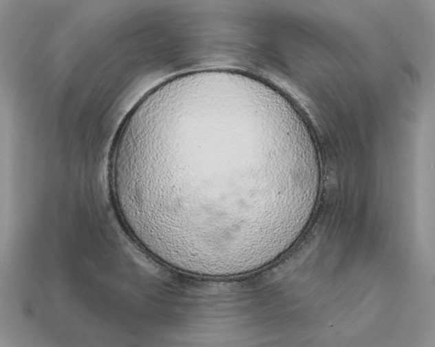 X0000112781423200909101603