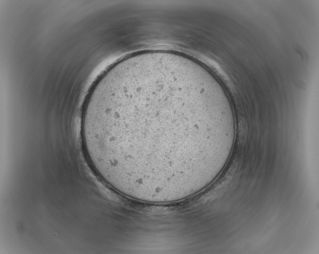 X0000112781424200909101603