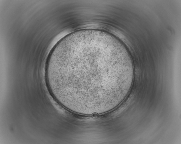 X0000112781426200909101603