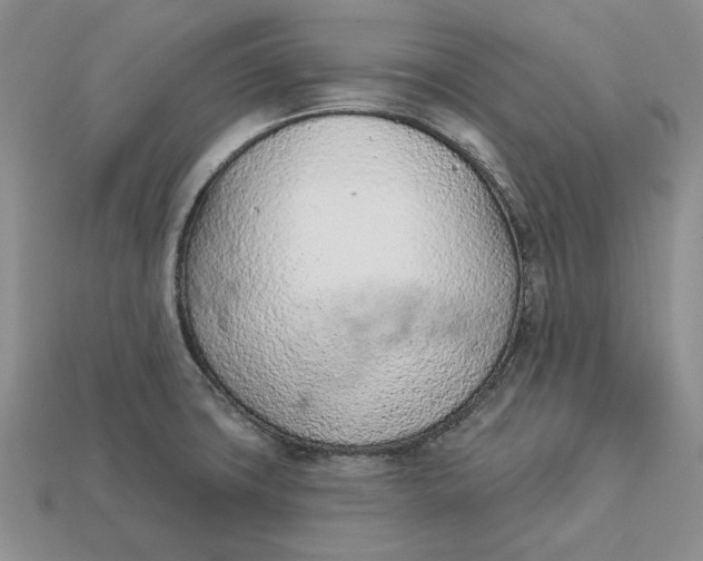 X0000112781427200909101603