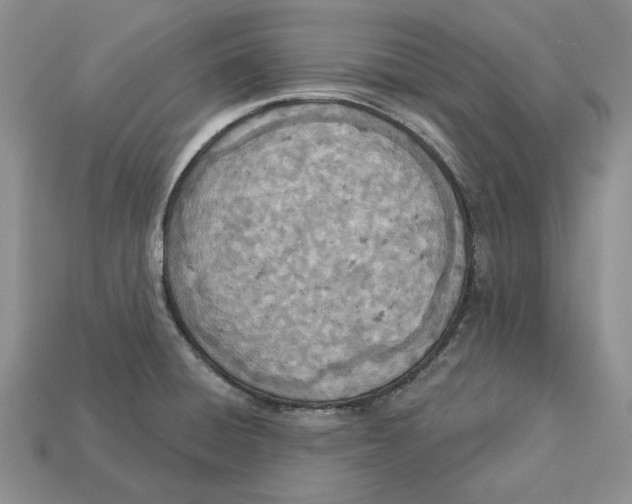 X0000112781428200909101603