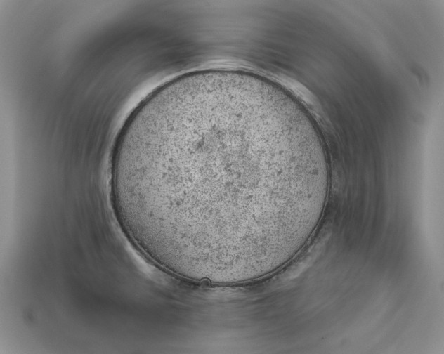 X0000112781430200909101603