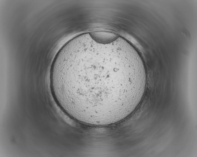 X0000112781431200909101603