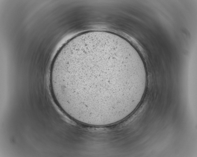 X0000112781432200909101603