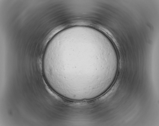 X0000112781433200909101603