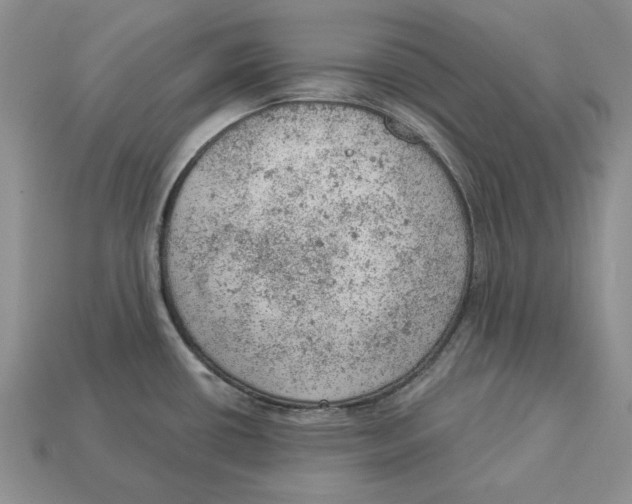 X0000112781434200909101603