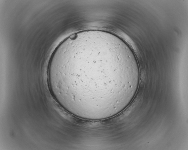 X0000112781435200909101603