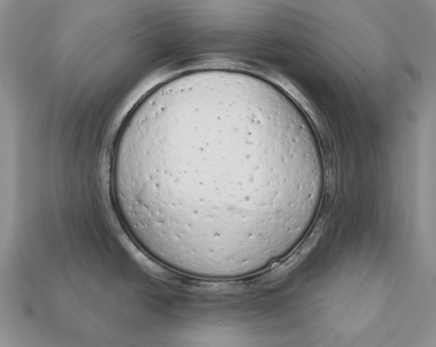 X0000112781438200909101603