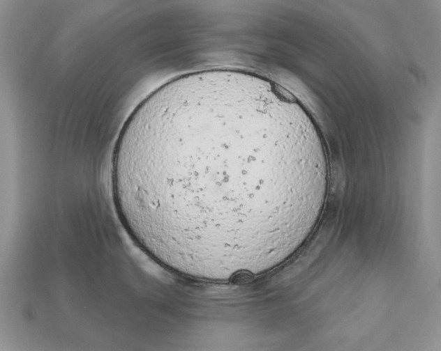 X0000112781439200909101603