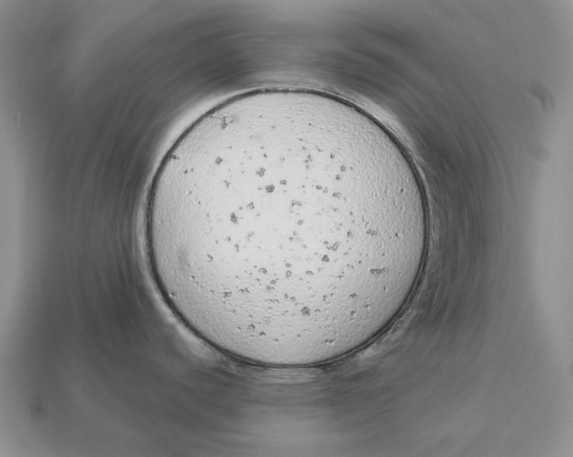 X0000112781440200909101603