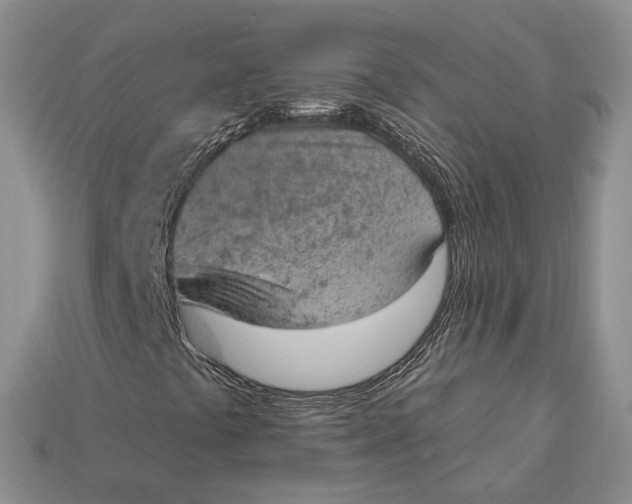 X0000112781441200909101602