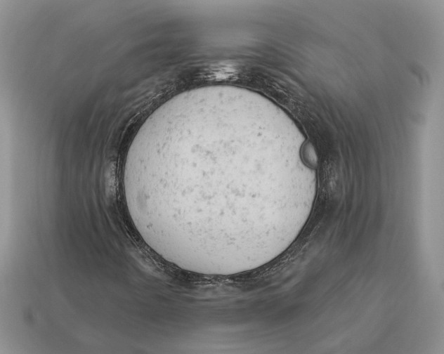 X0000112781442200909101602