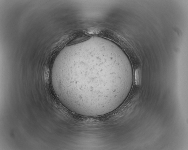 X0000112781443200909101602