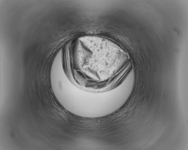 X0000112781444200909101602