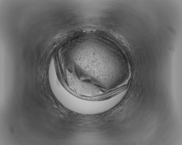 X0000112781445200909101602