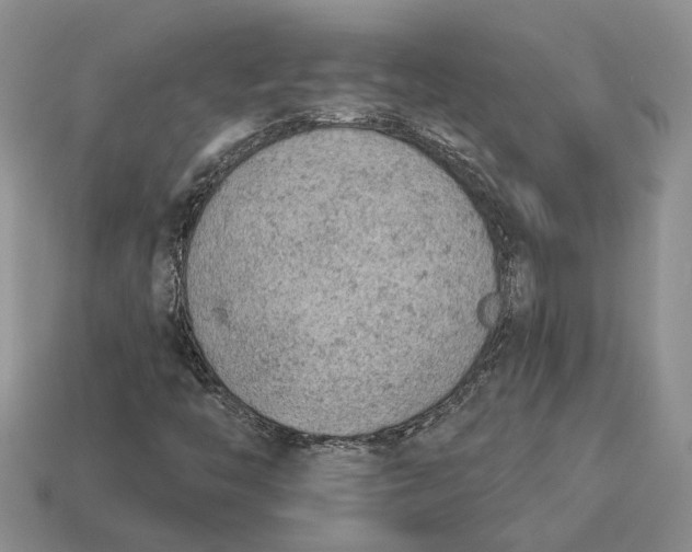 X0000112781446200909101602