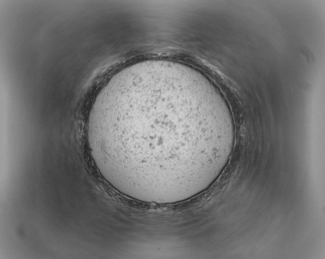 X0000112781447200909101602