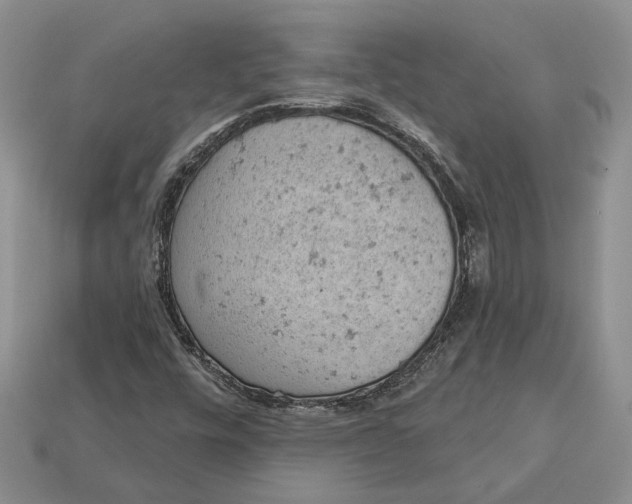 X0000112781448200909101602