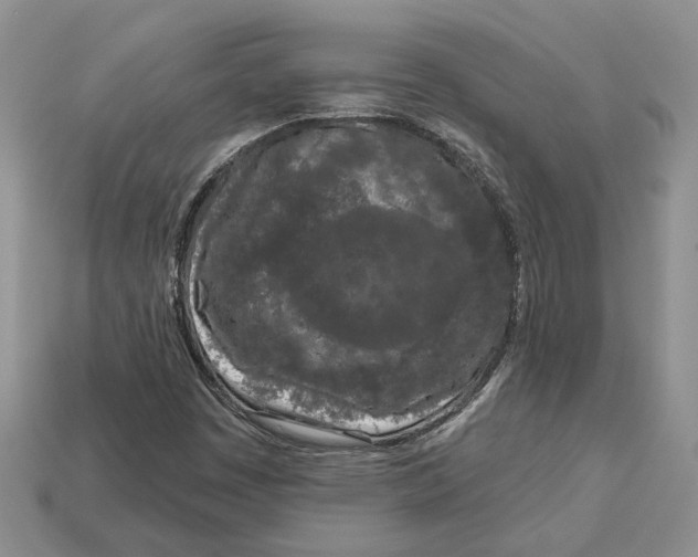 X0000112781449200909101602