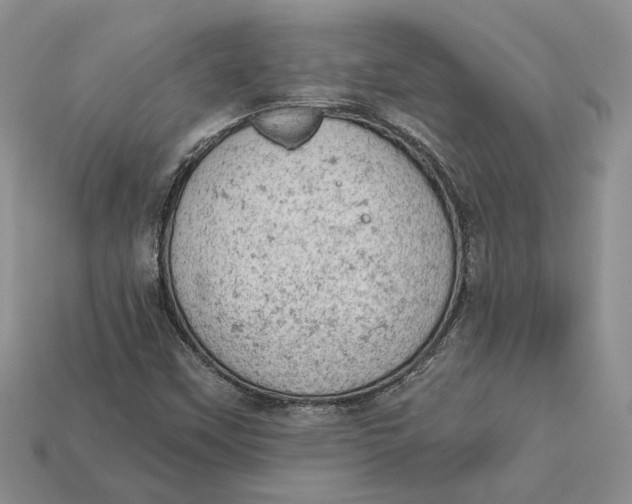 X0000112781451200909101602