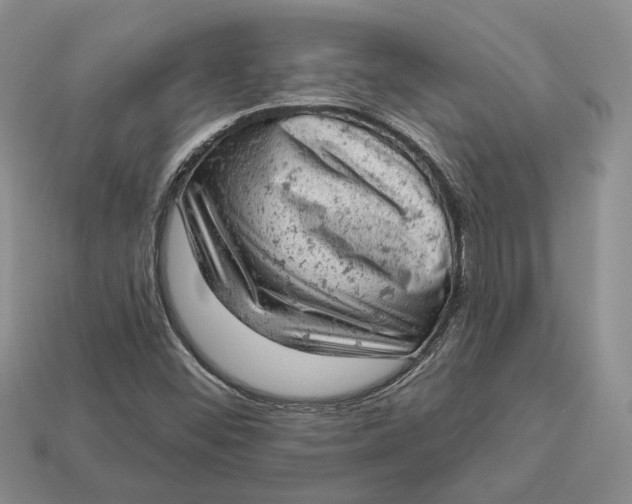 X0000112781452200909101602