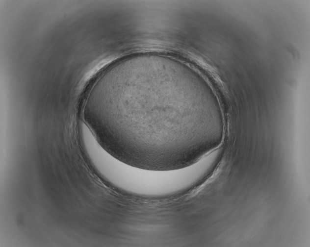 X0000112781453200909101602