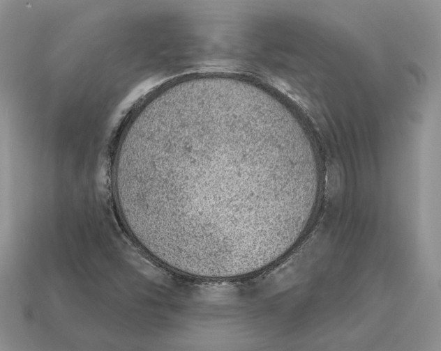 X0000112781454200909101602