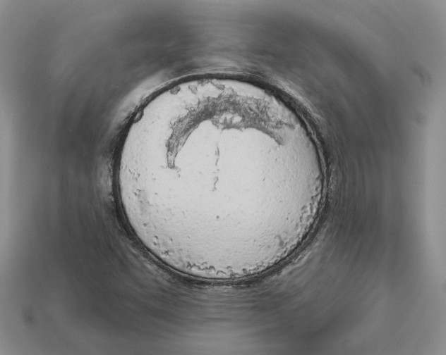 X0000112781455200909101602