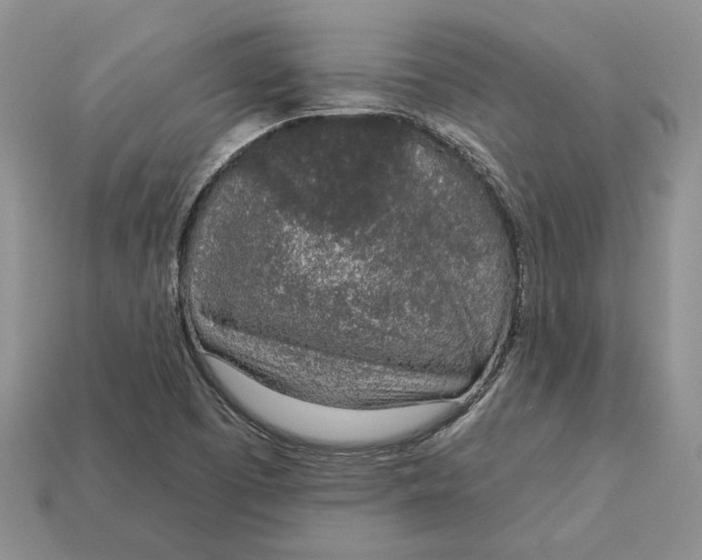 X0000112781457200909101602