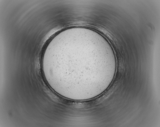 X0000112781458200909101602