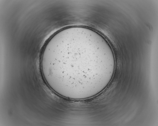 X0000112781460200909101602