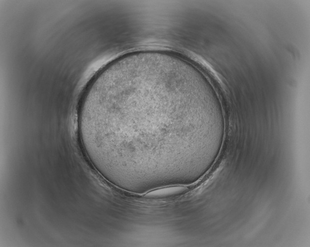 X0000112781461200909101602