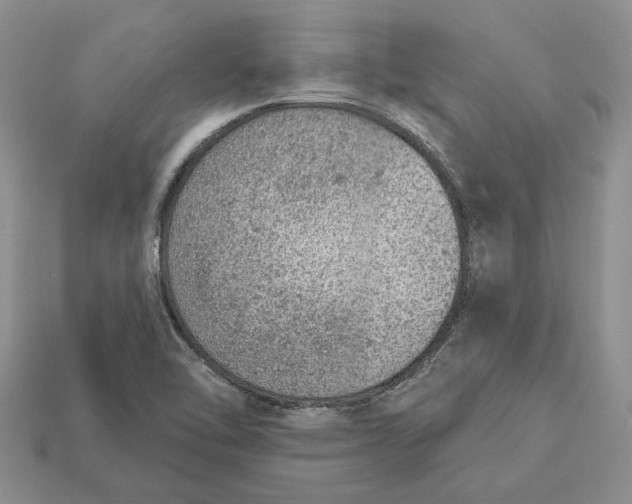 X0000112781462200909101602