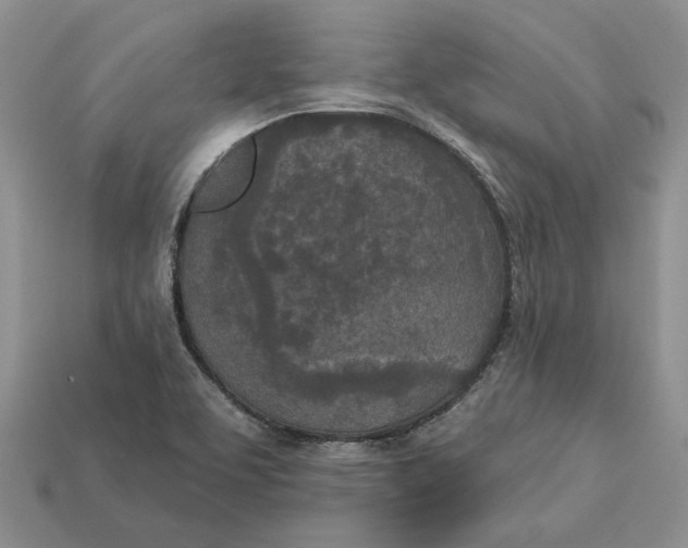 X0000112781463200909101602