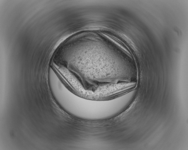 X0000112781465200909101602