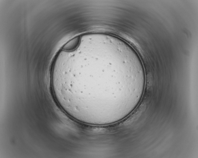 X0000112781467200909101601