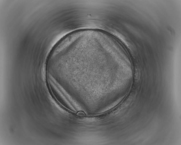 X0000112781468200909101601