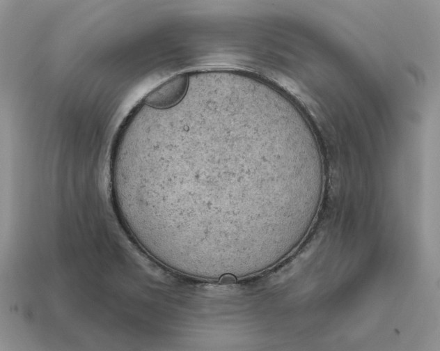 X0000112781469200909101601