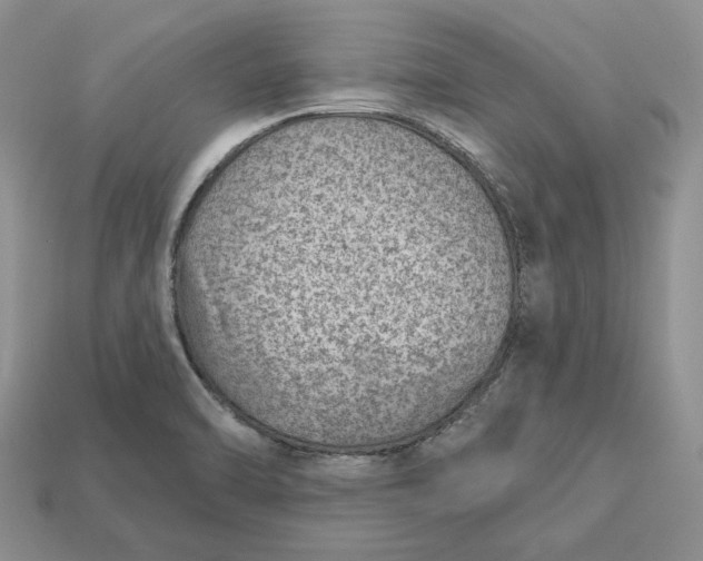 X0000112781470200909101601